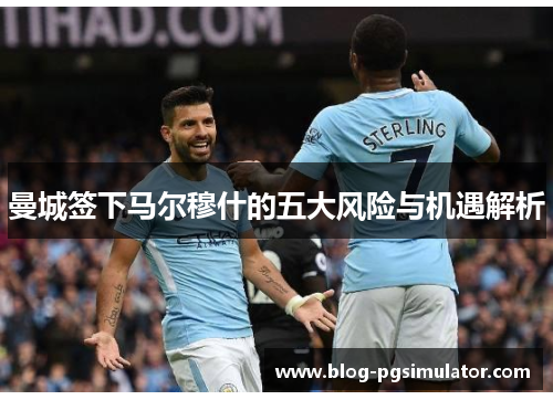 曼城签下马尔穆什的五大风险与机遇解析