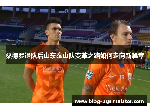 桑德罗退队后山东泰山队变革之路如何走向新篇章
