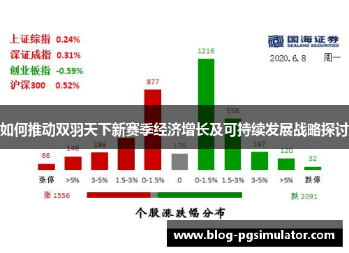 如何推动双羽天下新赛季经济增长及可持续发展战略探讨